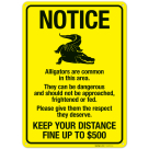 Notice Alligators Are Common In This Area Keep Your Distance Fine Up To $500 Sign
