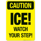 Ice Watch Your Step Sign