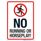 No Running Or Horseplay With Graphic Sign