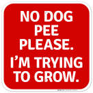 No Dog Pee Please I Am Trying To Grow