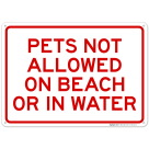 Pets Not Allowed On Beach Or In Water Sign