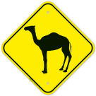 Camel With Graphic Sign