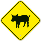Pig Crossing With Graphic Sign