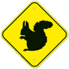 Squirrel Crossing With Graphic Sign