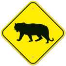 Tiger Crossing With Graphic Sign