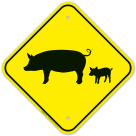 Pigs Graphic Sign