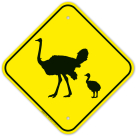 Ostrich With Chick Crossing Sign