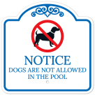 Notice Dogs Are Not Allowed In The Pool Sign