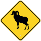 MUTCD Bighorn Sheep W11-18 Sign