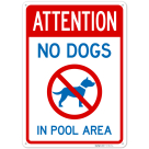 Attention No Dogs In Pool Area Sign,