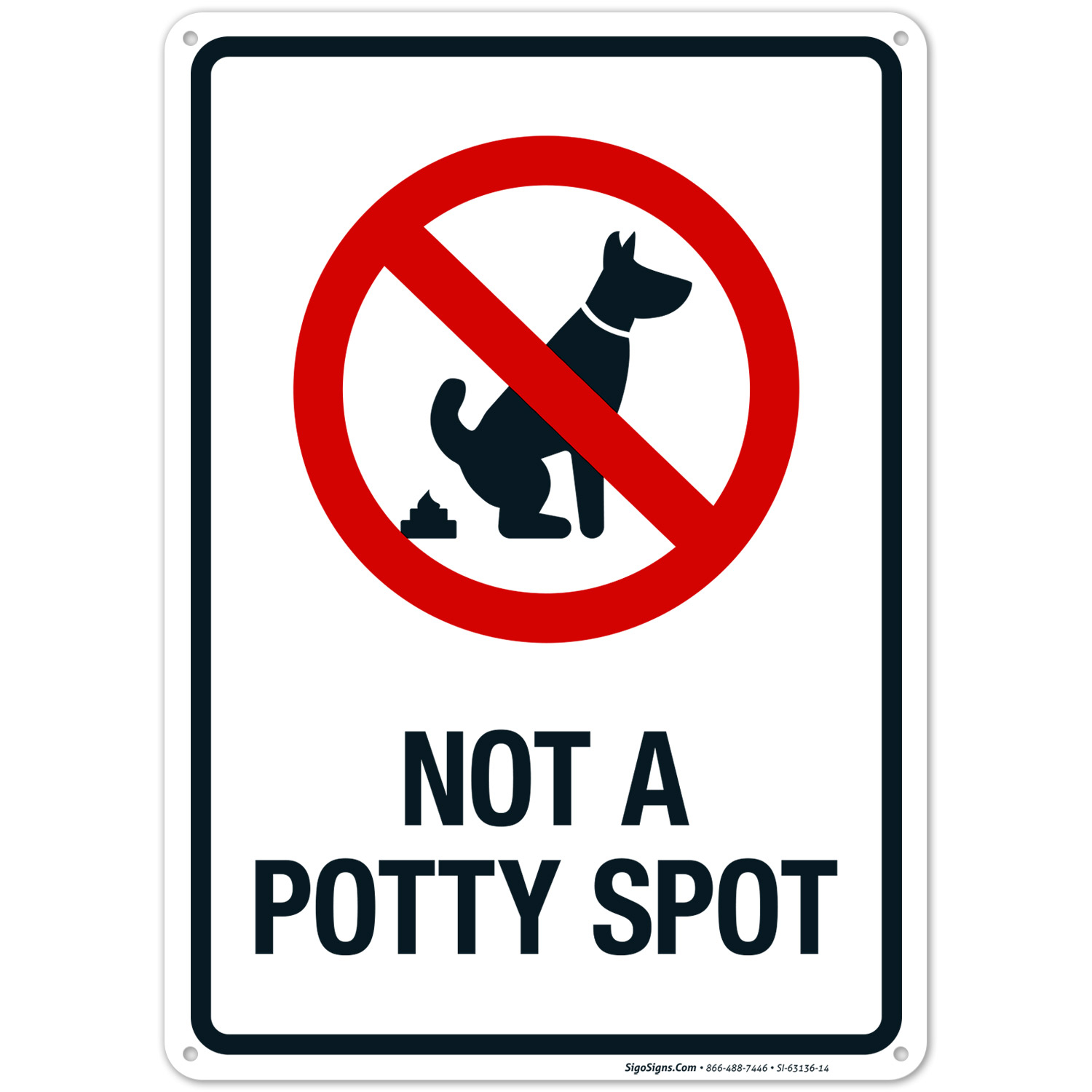 Potty spot 2025